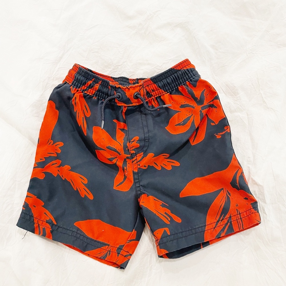 Tea Collection Swim Trunks
